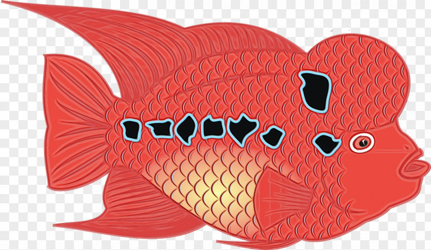 Fin Snapper Fish Red Pink PNG