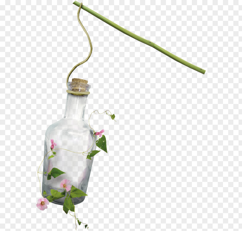 Flower Plant Wine Glass PNG