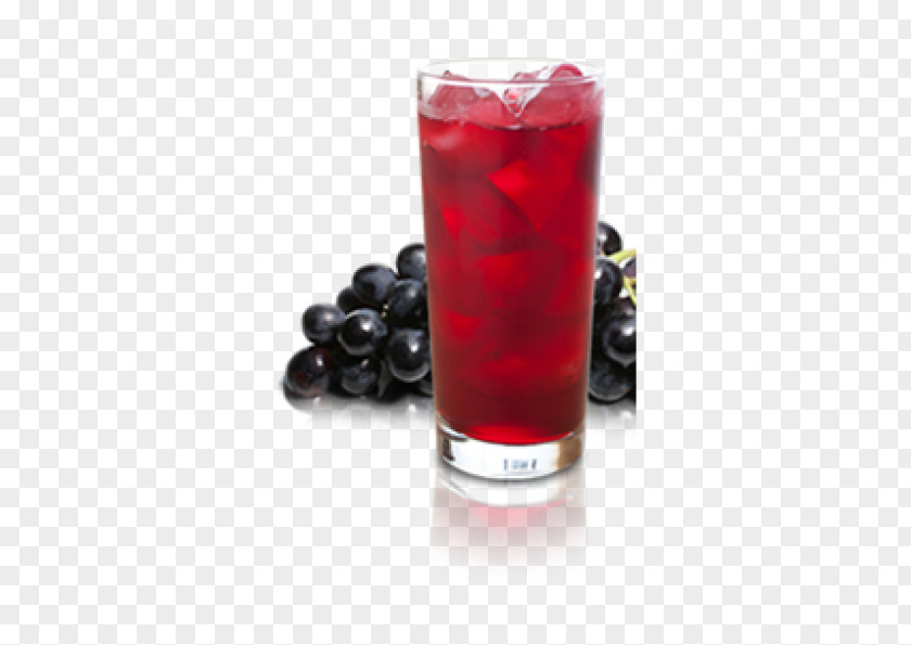 Fruit Punch Tinto De Verano Juice Blueberry Tea Piña Colada PNG
