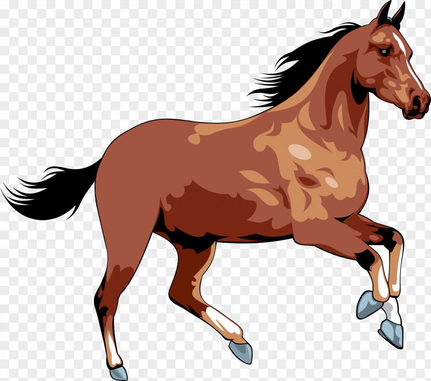 Horse Wild Clip Art PNG