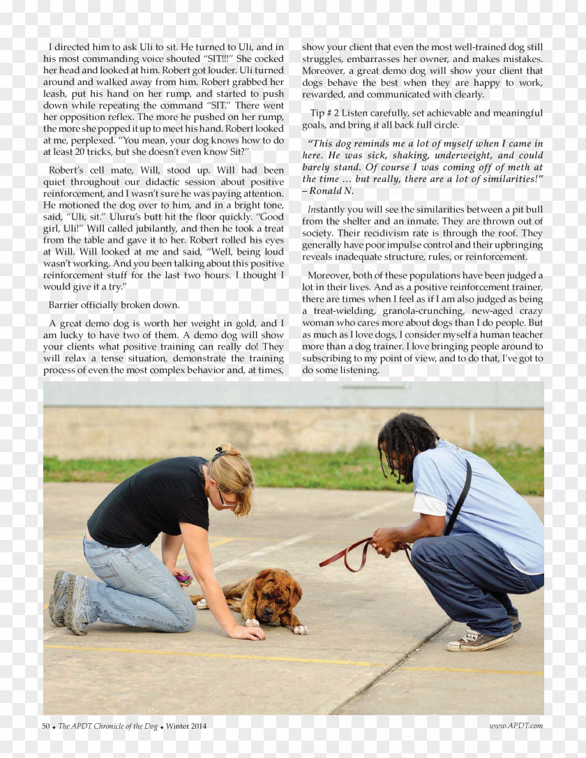 The Dog Is Paying A New Year Call Obedience Training Trial News PNG
