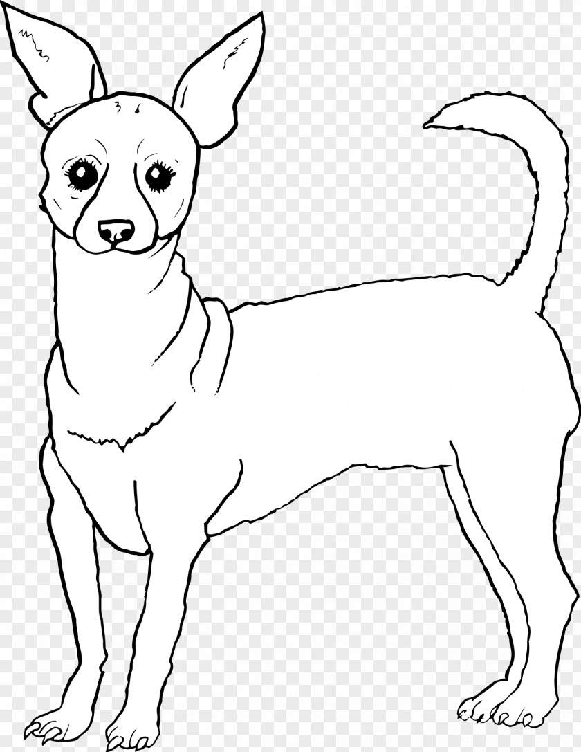 Chihuahua Dog Breed Puppy Hare Whiskers PNG