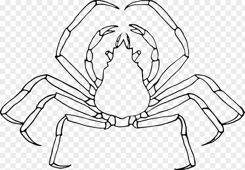 Crab Cartoon Insect Mosquito Coloring Book Child PNG