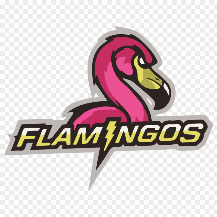 Flamingos Logo Team Sport Football PNG