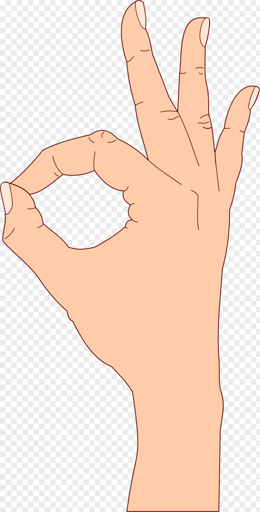 Hand Thumb Clip Art OK Openclipart PNG