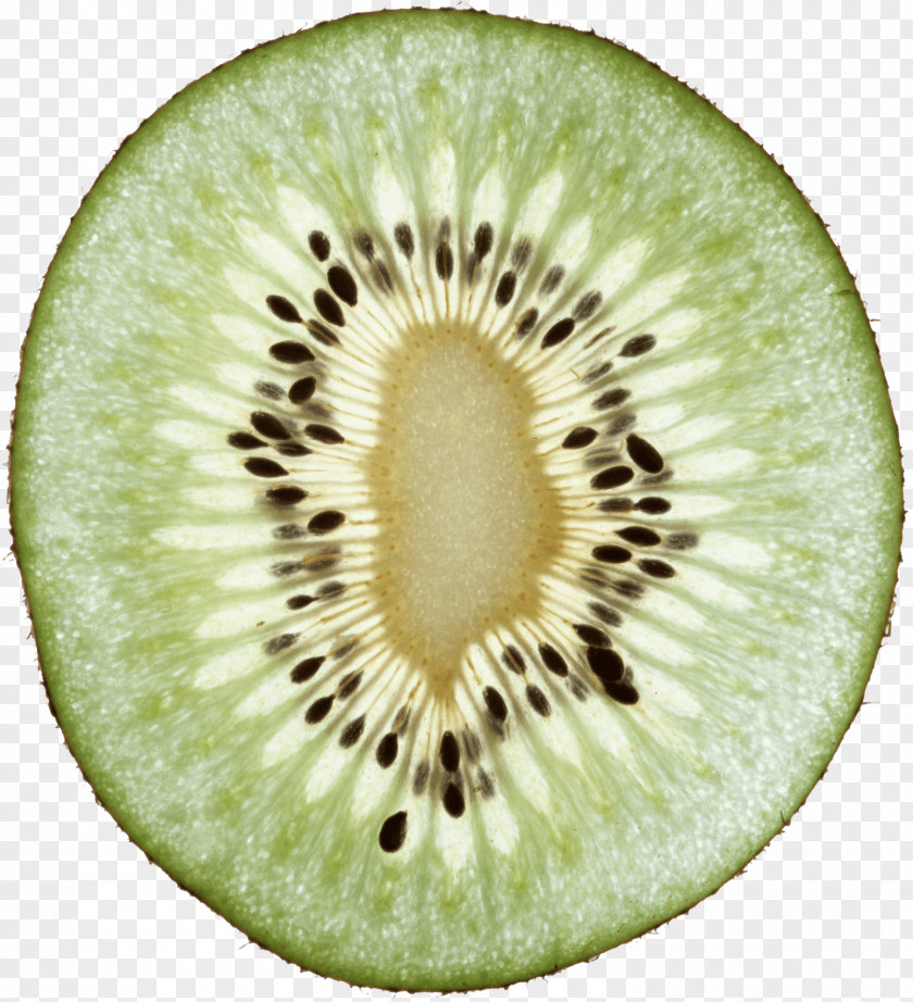 Kiwi Image Fruit Pictures Download Kiwifruit Clip Art PNG