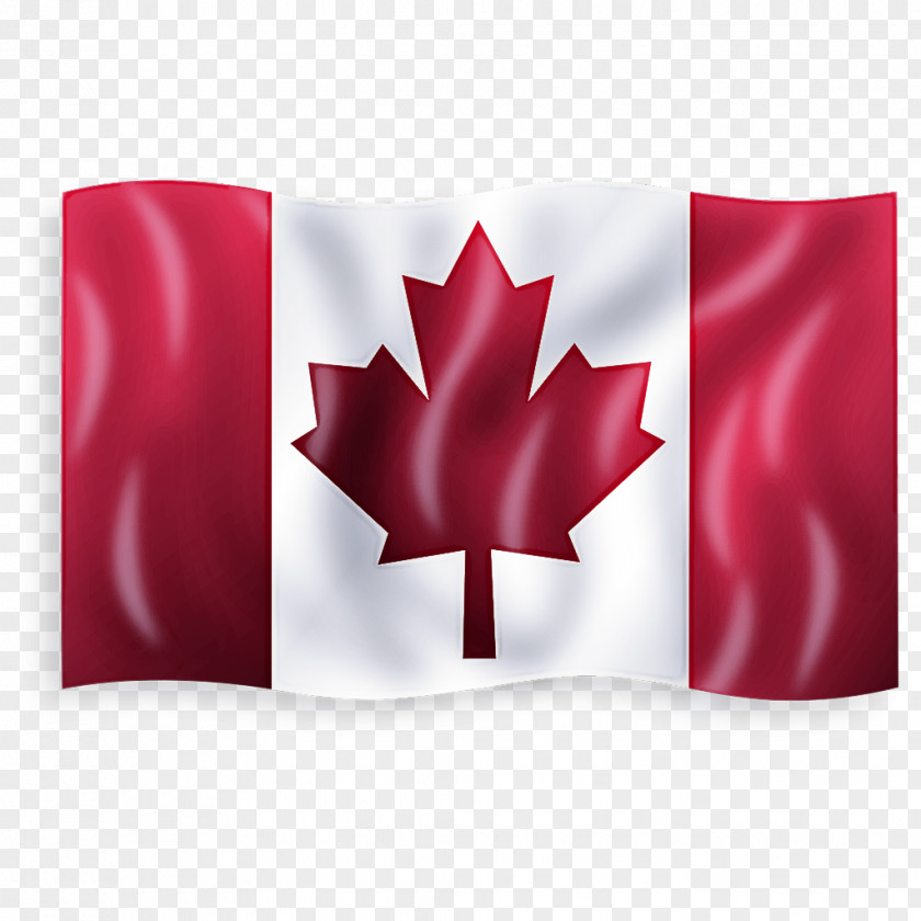 Maple Carmine Leaf PNG