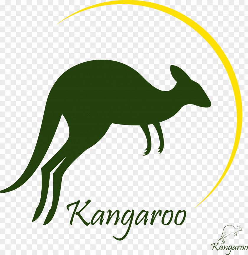 Vector Decorative Kangaroo Royalty-free Photography PNG