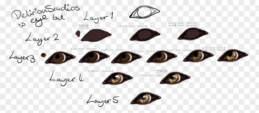 Wolf Eye Dog Drawing Tutorial PNG