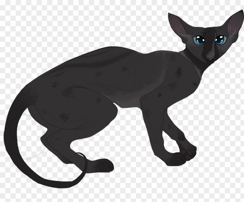 Cat Whiskers Domestic Short-haired Tail Clip Art PNG