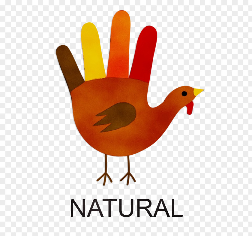 Logo Beak Thanksgiving Turkey PNG