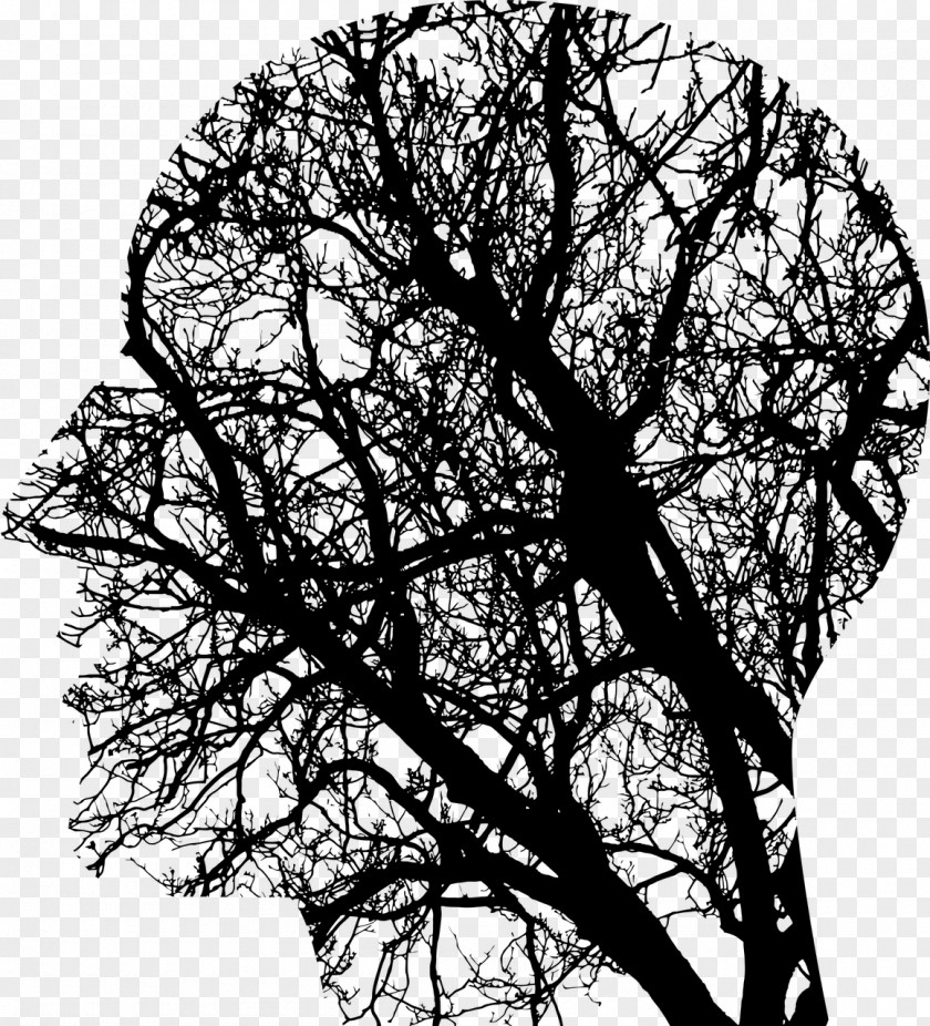 Orange Tree Human Brain Neurofeedback Neuroimaging Omega-3 Fatty Acid PNG