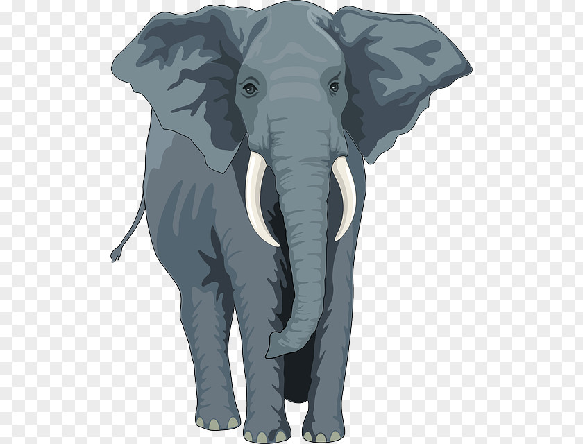 Phone Icon Black And White Asian Elephant African Elephantidae The Elephants Clip Art PNG