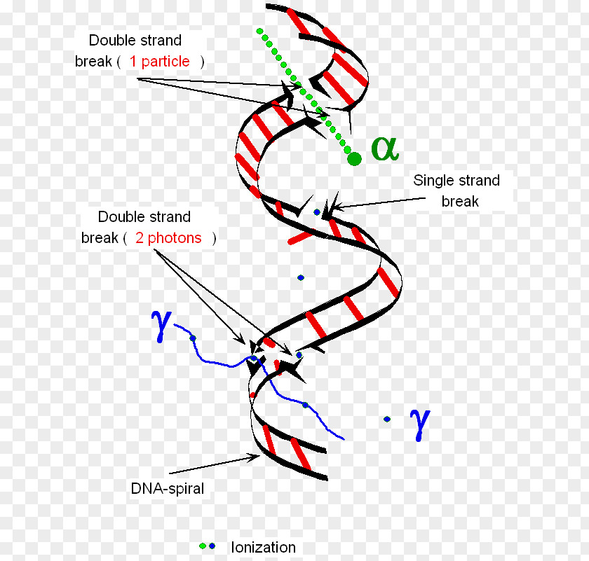 Radiosurgery Ionizing Radiation Therapy Energy PNG