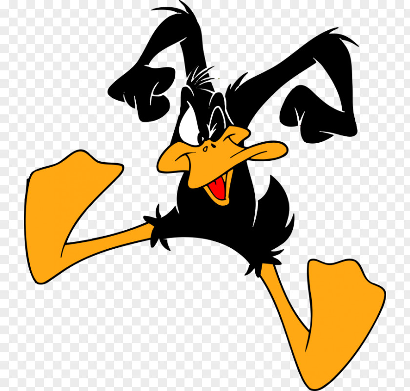 Donald Duck Daffy Daisy Cartoon PNG