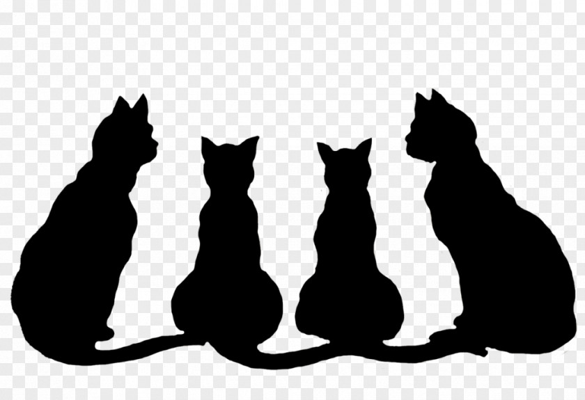 Tail Blackandwhite Black Cat Silhouette Small To Medium-sized Cats PNG