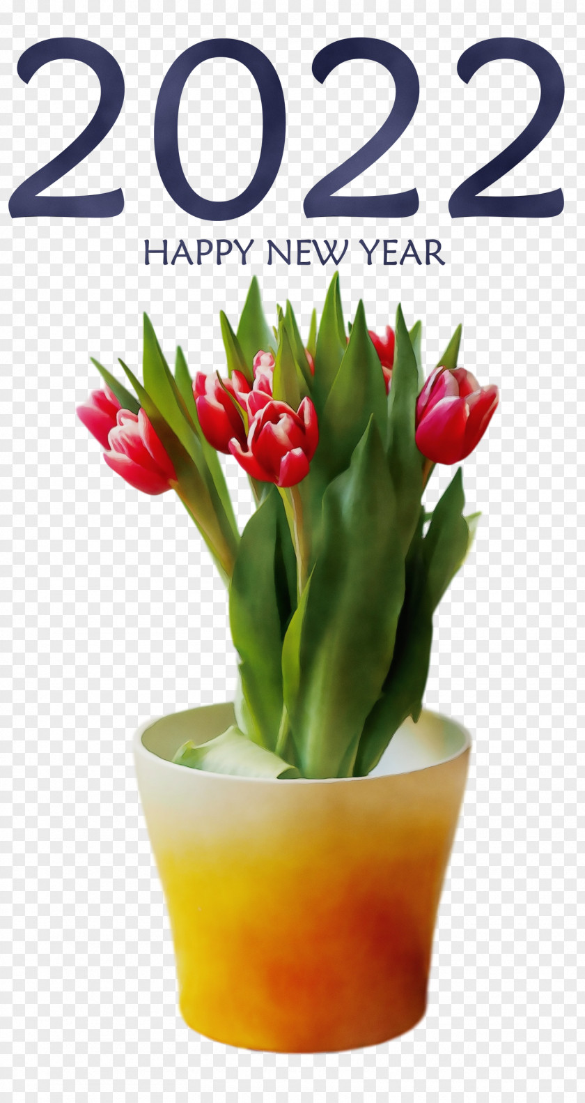 Floral Design PNG