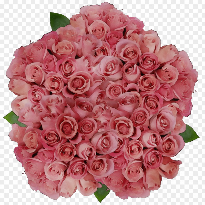 Garden Roses PNG