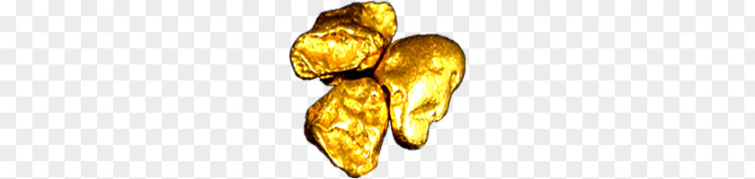 Gold PNG clipart PNG