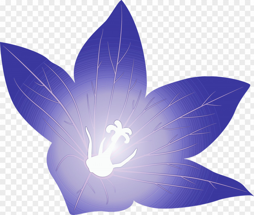 Lavender PNG