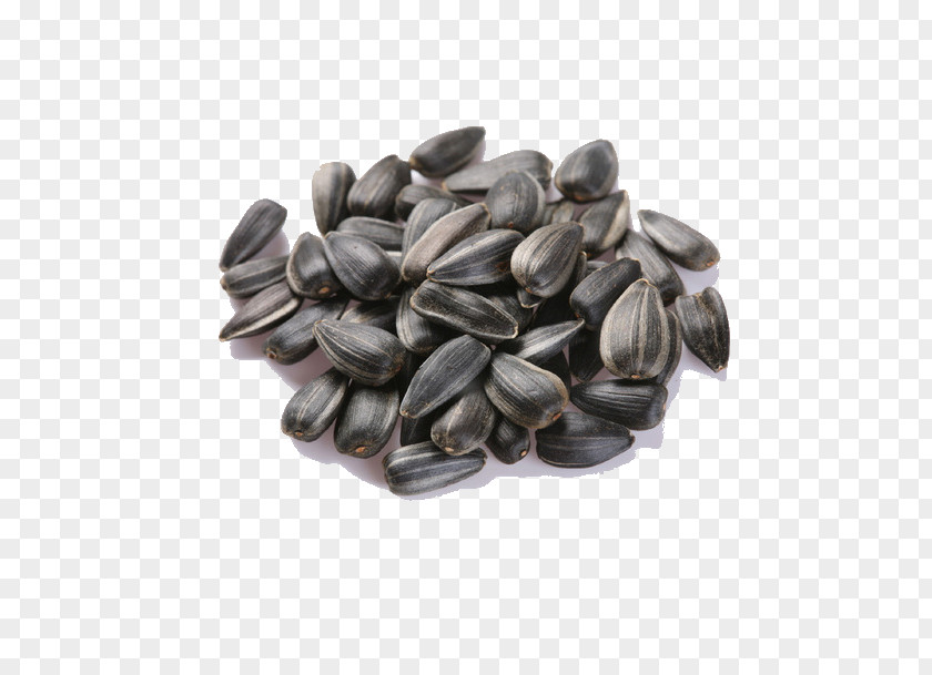 Melon Seeds Common Sunflower Seed Oil Crop PNG