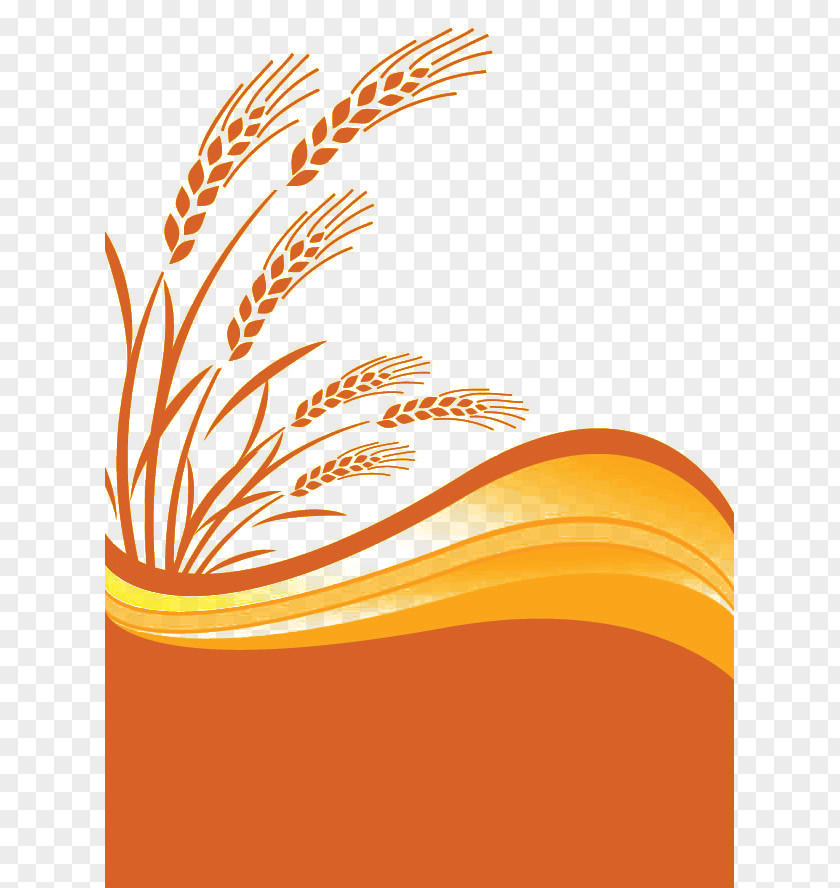 Orange Gradient Wheat Elements Cereal Ear Clip Art PNG