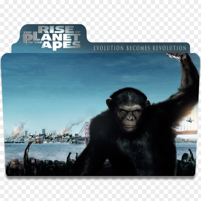 Planet Of The Apes Koba Film Reboot PNG