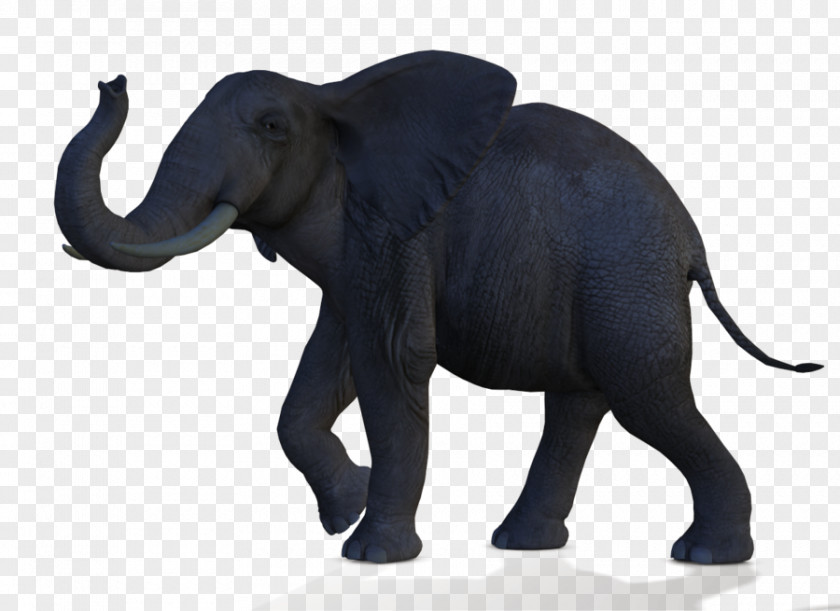 Variety African Bush Elephant Logo Clip Art PNG