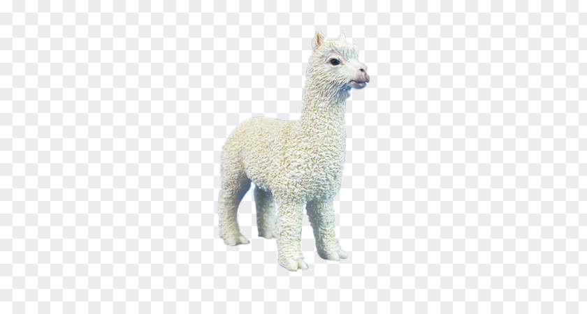 Alpaca Spitting Llama Fur Terrestrial Animal PNG