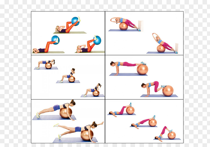 Ball Exercise Balls Trening Kardio Sport Physical Fitness PNG