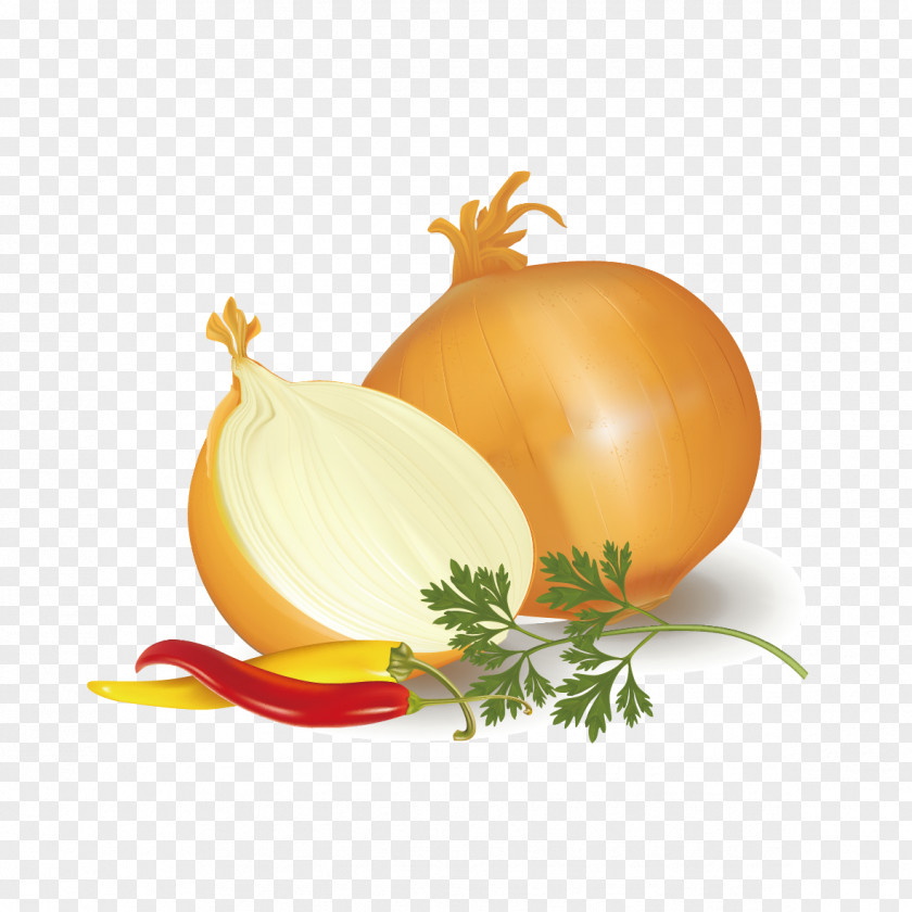 Onion Pattern Ring Potato Capsicum Annuum Vegetable PNG