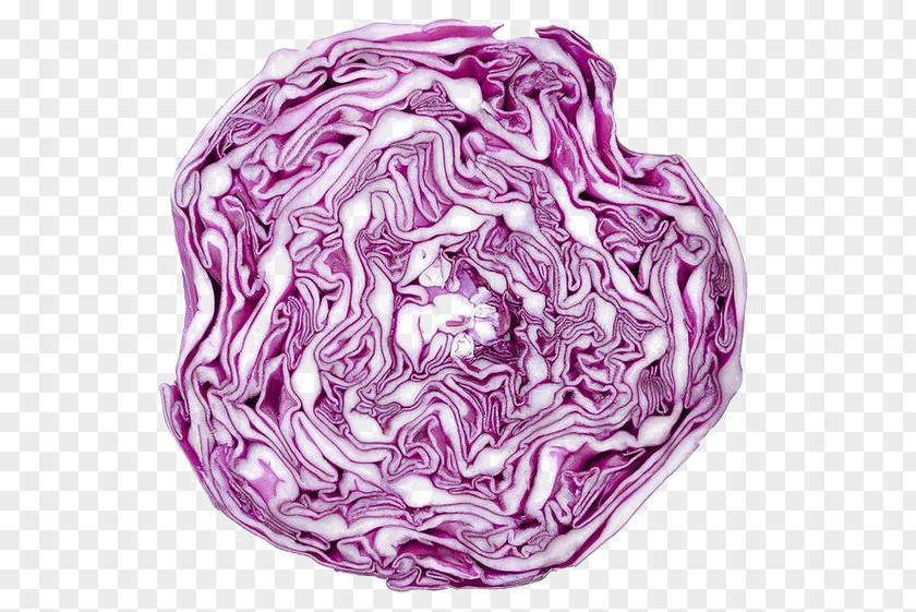 Purple Cabbage Red Cauliflower Vegetable Drawing PNG