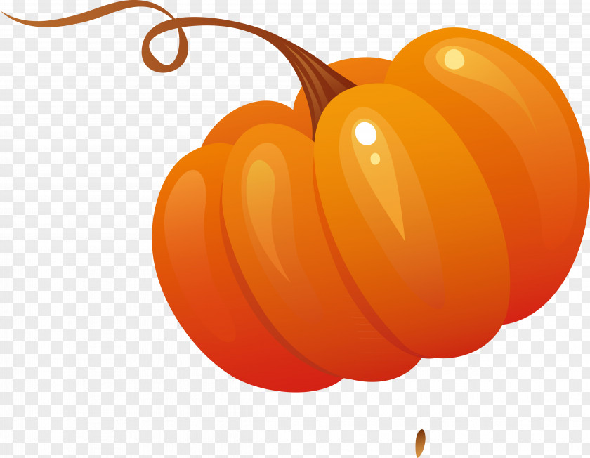 Vegetable Decoration Designer Pumpkin Salad PNG