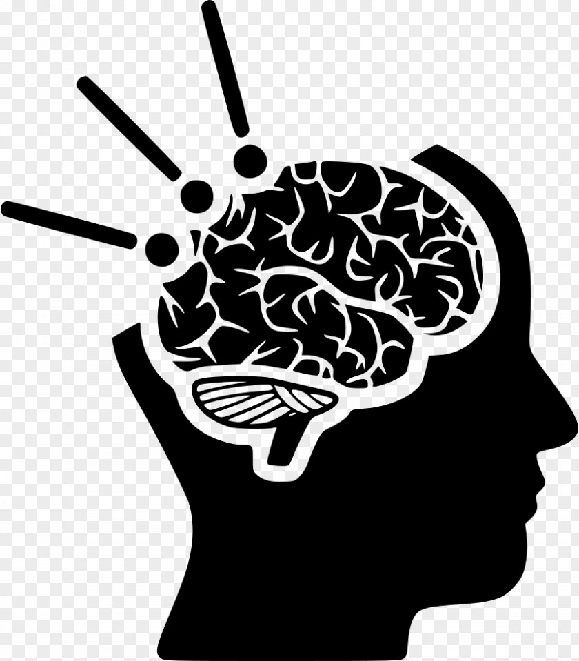 Brain Human Clip Art Head PNG