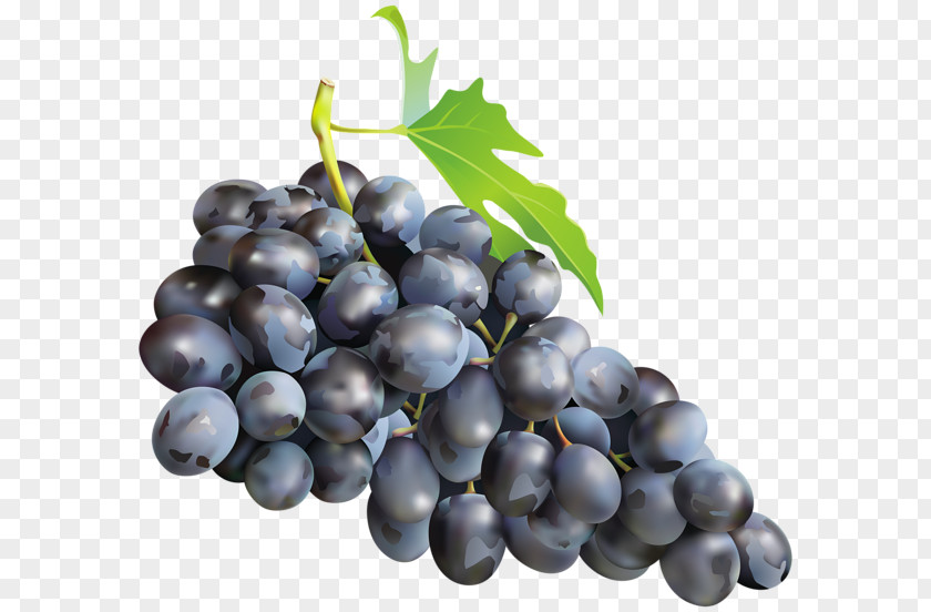 Grape Muscadine Zante Currant Sultana Muscat PNG