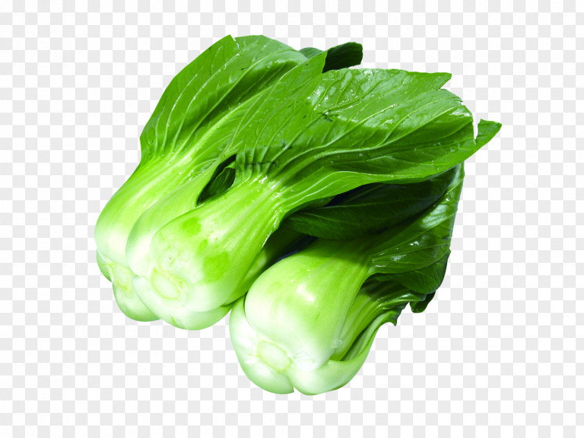 Green Vegetables Canola Leaf Vegetable U6cb9u83dc Food Radish PNG