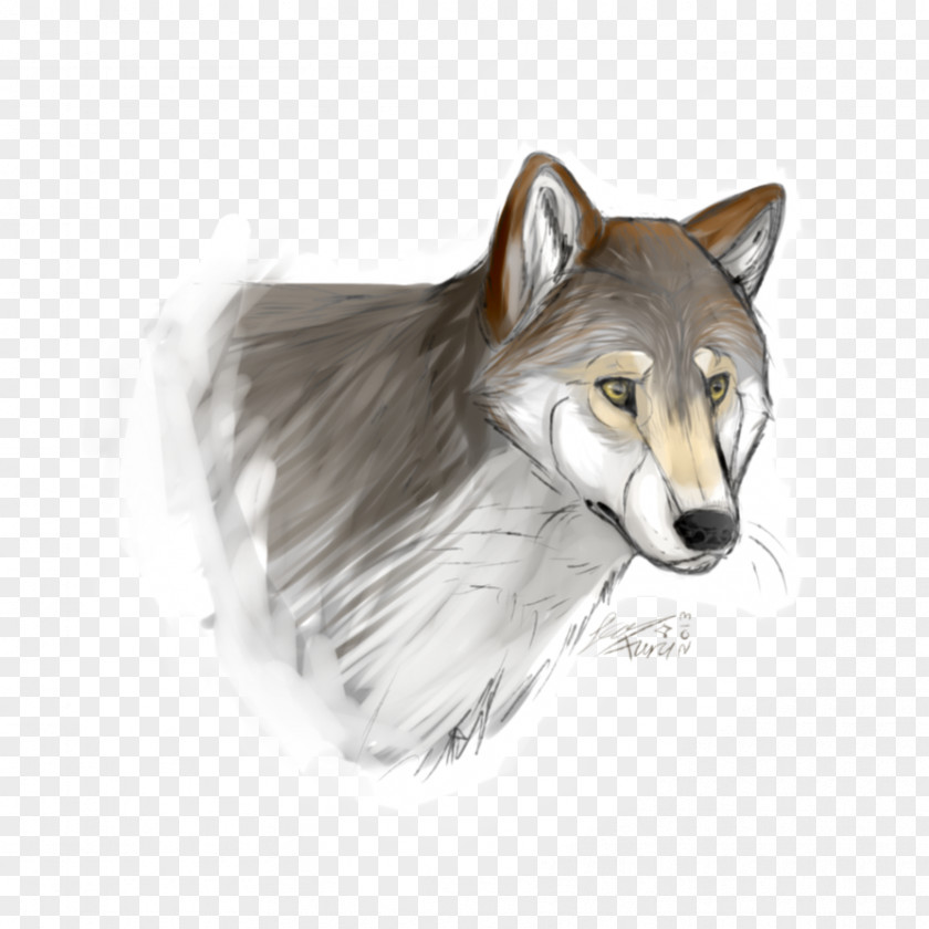 Mugshot Gray Wolf Coyote Drawing Red Snout PNG