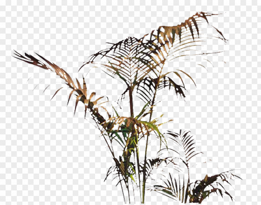 Plant Designer PNG