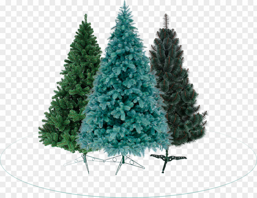Christmas Pine Needles Picture Material Spruce Ornament Tree PNG