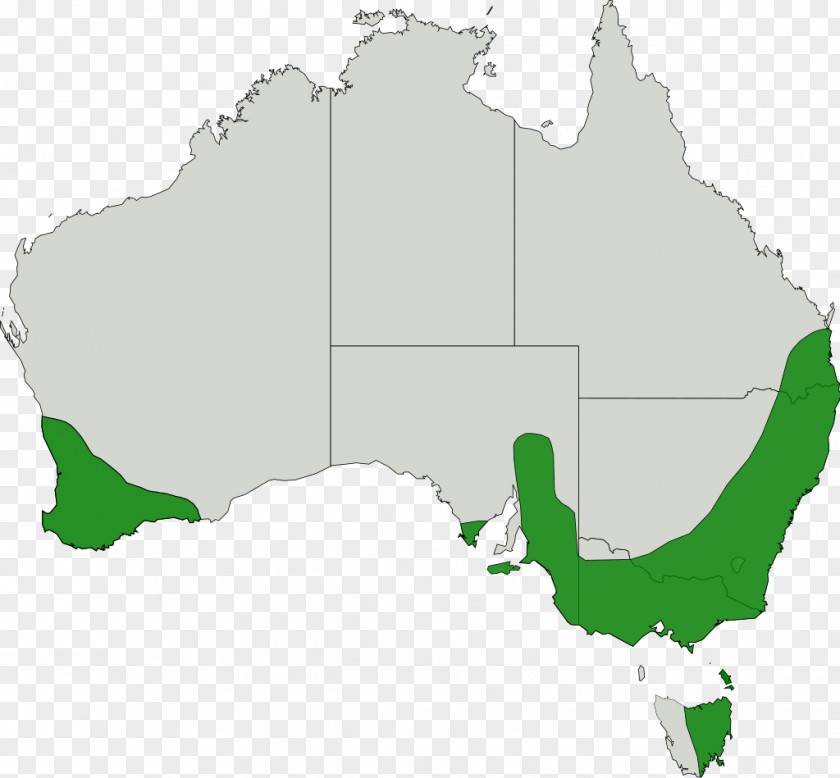 Distribution Vector United States South Australia Victoria Government Clip Art PNG