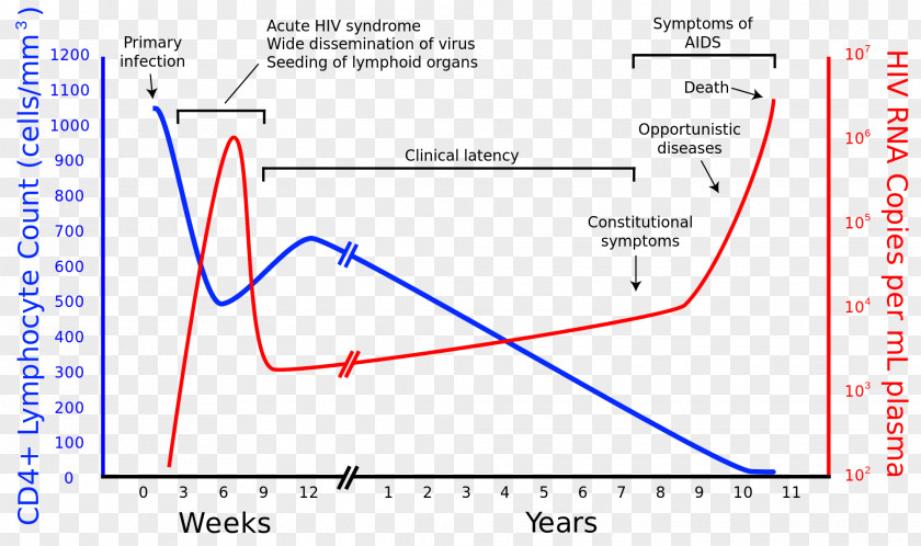 Epidemiology Of HIV/AIDS CD4 Viral Load PNG