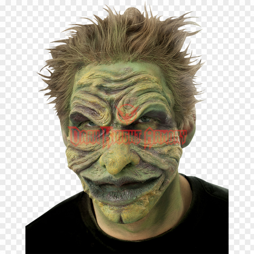 Face Mask Make-up Disguise Internet Troll PNG