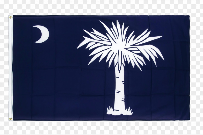 Flag Of South Carolina Highway 3 Rectangle Area PNG
