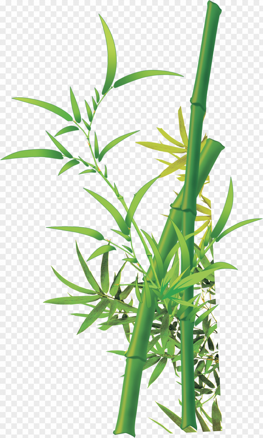 Green Bamboo Fukei Chinese Painting PNG