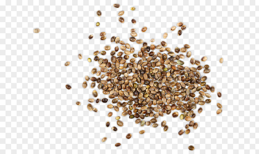 Hemp Seed Breckland Thyme Royalty-free Stock Photography Fenugreek Depositphotos PNG