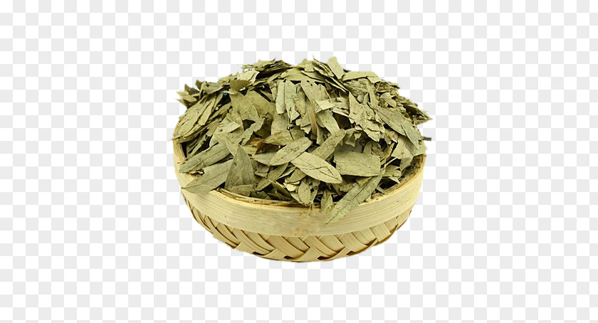 Senna Tea Image Herbal Glycoside Laxative Crude Drug PNG