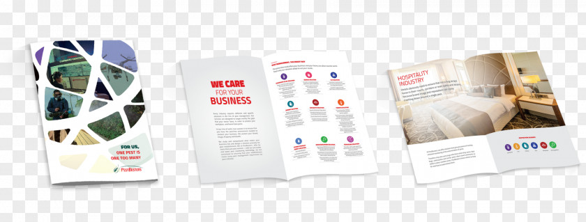 Corporate Flyer Design Brand Product Brochure PNG