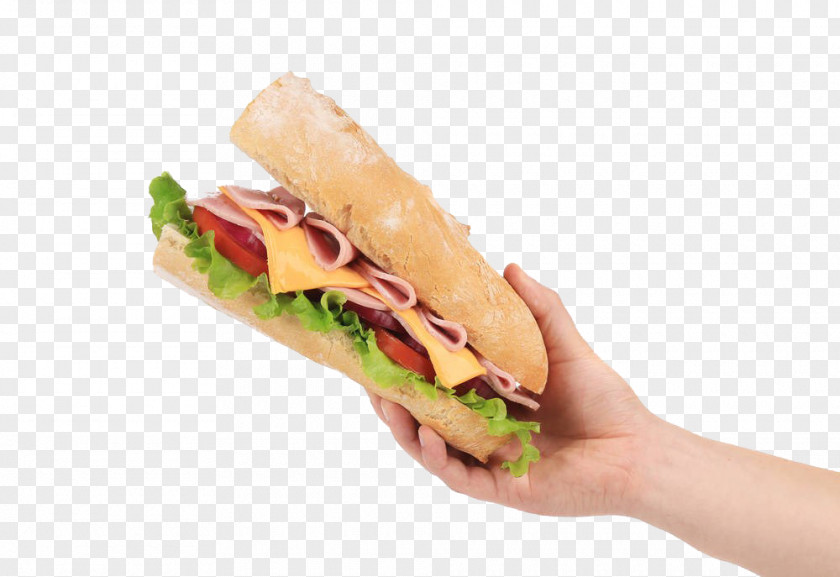 Holding Big Hamburger Ham And Cheese Sandwich Fast Food Bxe1nh Mxec PNG
