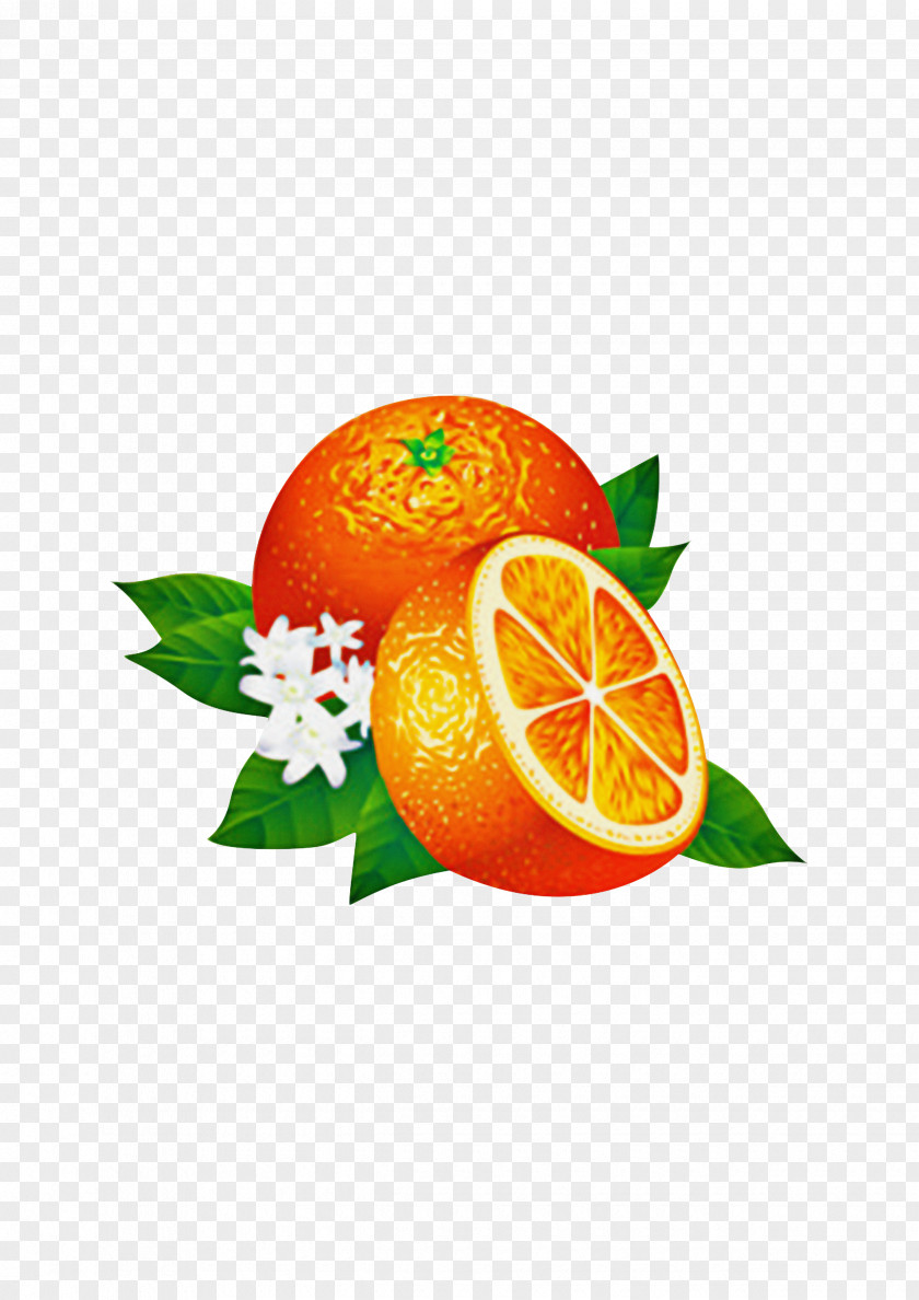 Liquid Yuzu Background Orange PNG