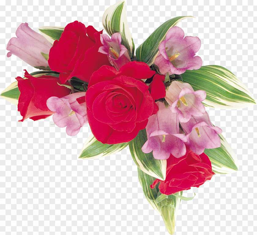 Bell Cut Flowers Garden Roses Floral Design PNG